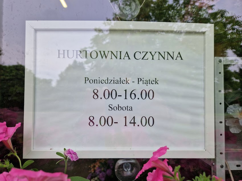 Primapol, hurtowa sprzedaż kwiatów.