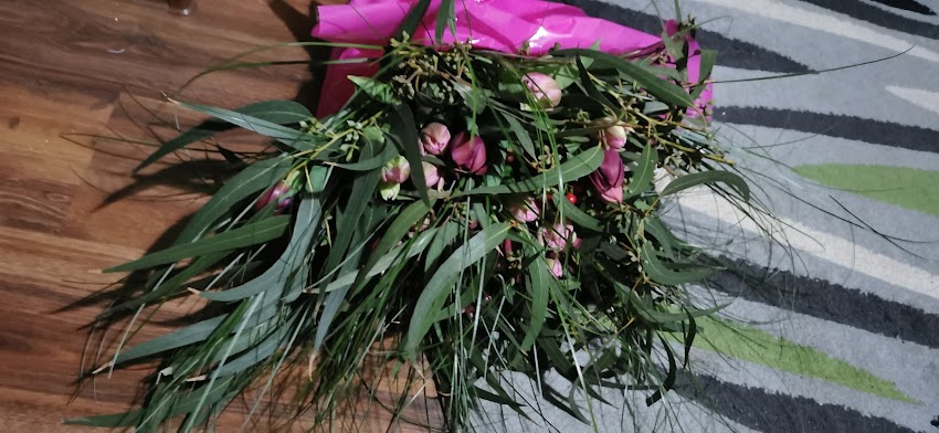 Kwiaciarnia Piotrowska Danuta