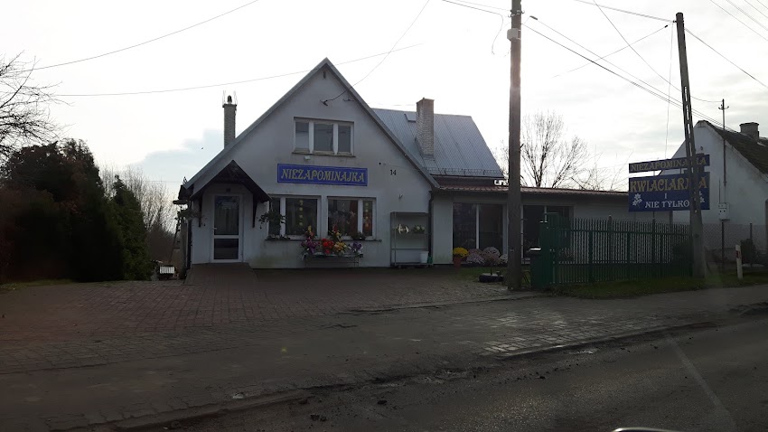 Kwiaciarnia Niezapominajka – Małkinia – Ewa Wereszczyńska