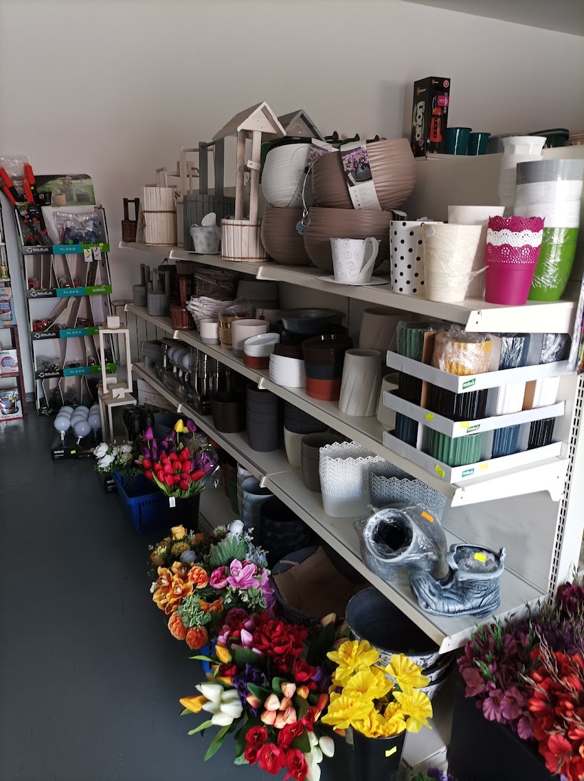 Centrum ogrodnicze Power flower u Eli