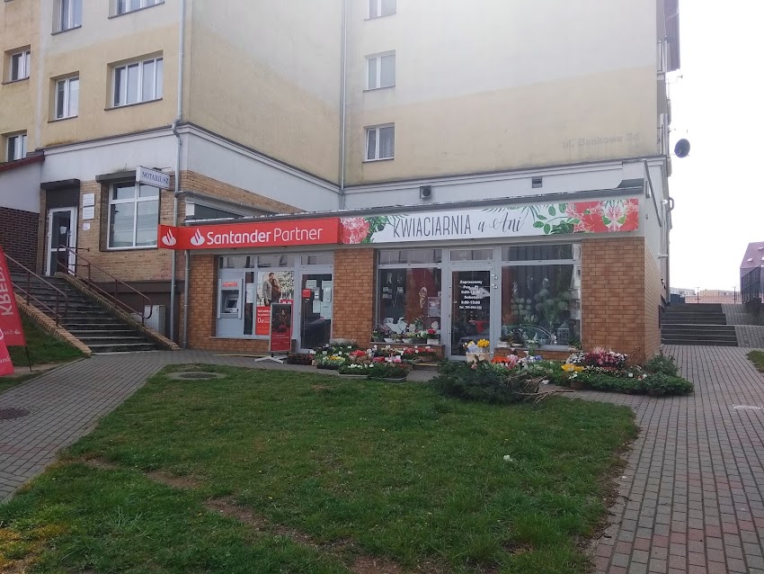Kwiaciarnia U Ani