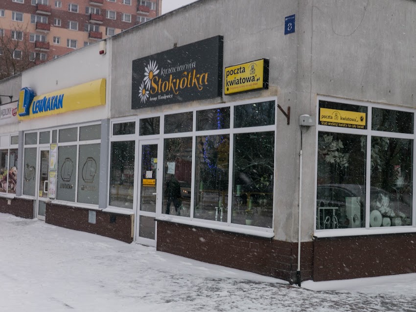 Kwiaciarnia Stokrotka