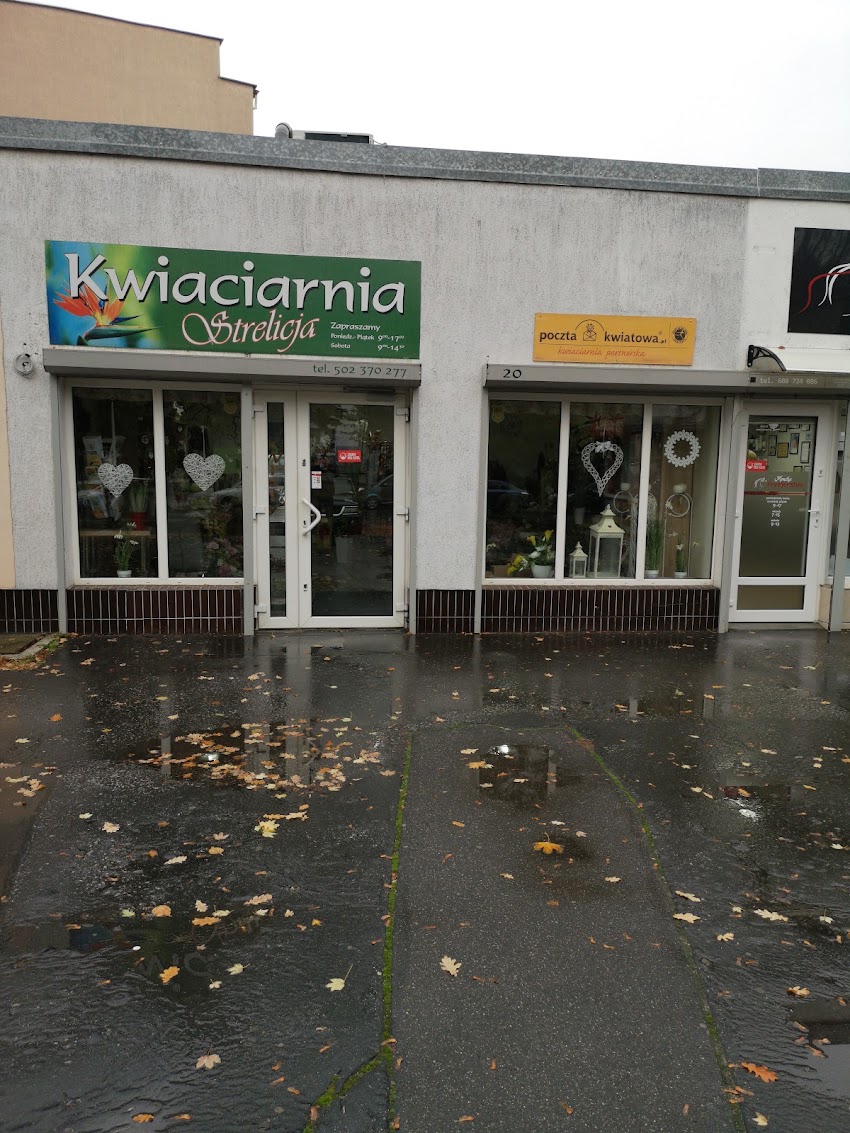 Kwiaciarnia Strelicja