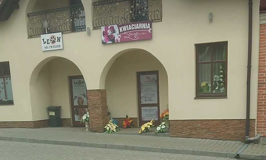 Kwiaciarnia Storczyk