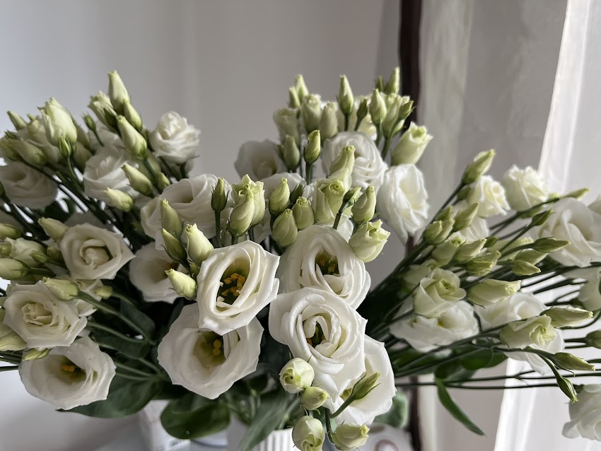 S Flowers Studio