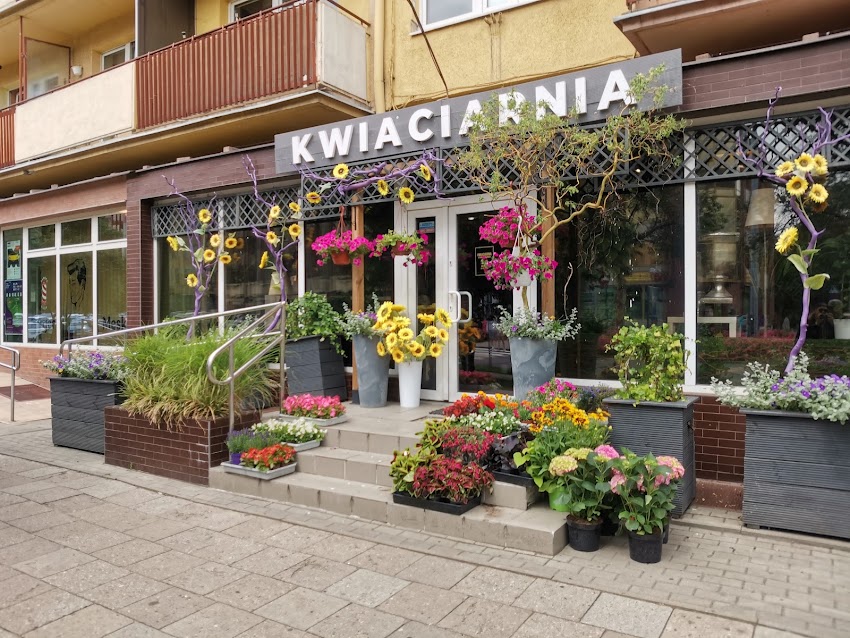 Kwiaciarnia White 8 & Flowers Place