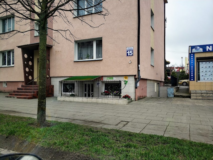 Kazimierczak Anna. Kwiaciarnia