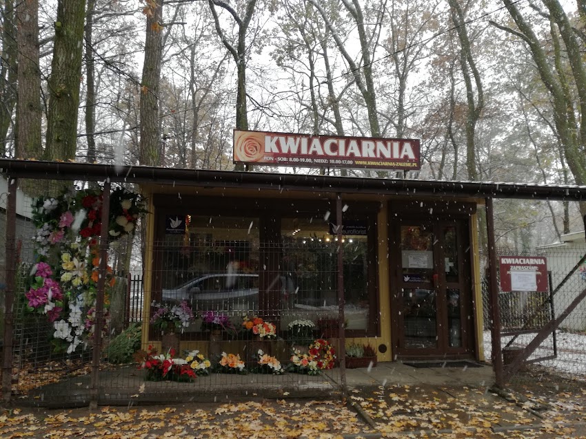 Kwiaciarnia Zalesie Górne