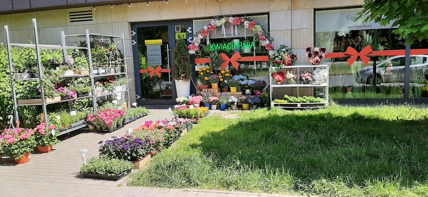 Kwiaciarnia Gardenia Kwiaty i Dekoracje