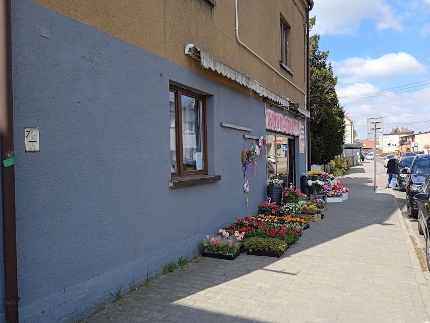Kwiaciarnia Fikus