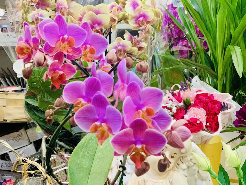 Kwiaciarnia PASSJA