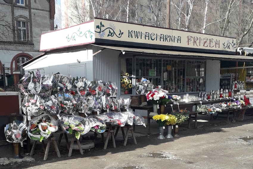 Kwiaciarnia Frizea Jadwiga Marcinkiewicz