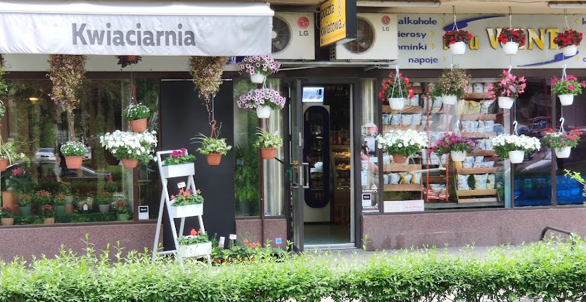 Kwiaciarnia Wenta
