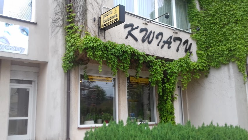 Studio Dekoracyjne Kwiaciarnia „Wiesia”