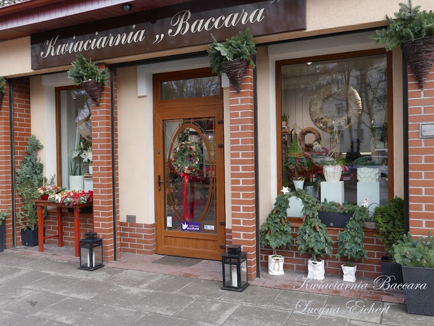 Kwiaciarnia Baccara Lucyna Eichert