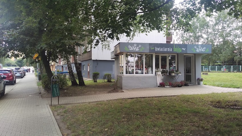 Kwiaciarnia Łodyga