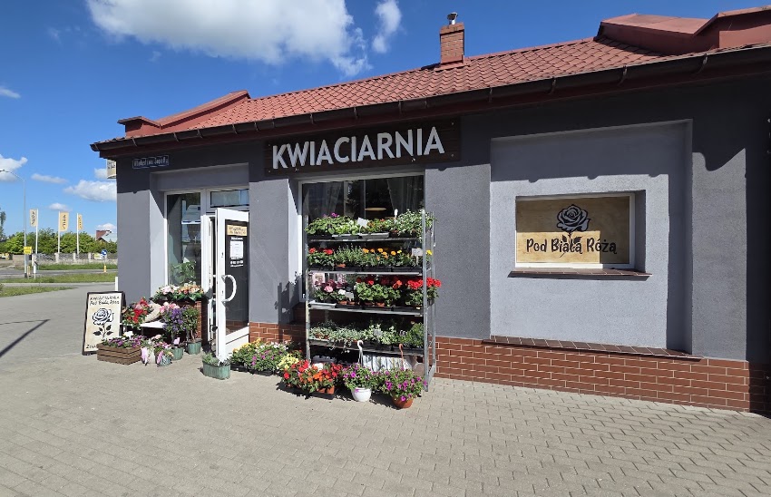 Kwiaciarnia ,,Pod Białą Różą”