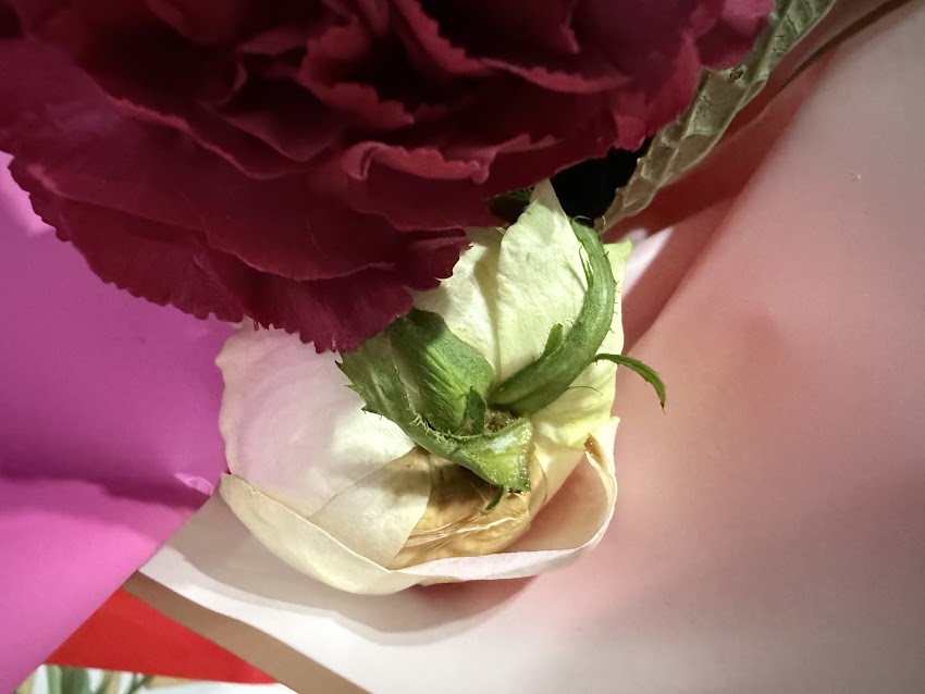 Kwiaciarnia Orchidea Studio Dekoratorsko Florystyczne Kwiaciarnia Mława