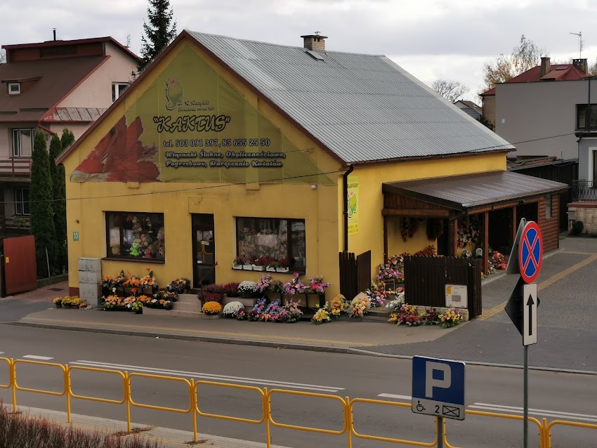 Kaktus. Kwiaciarnia