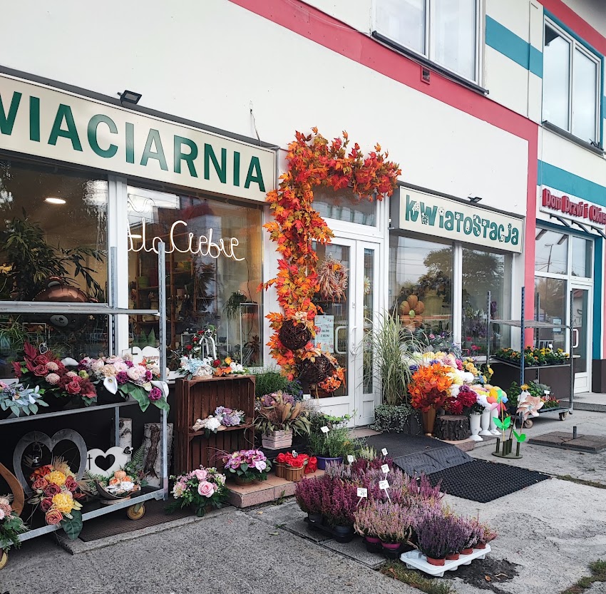 Kwiaciarnia Kwiatostacja