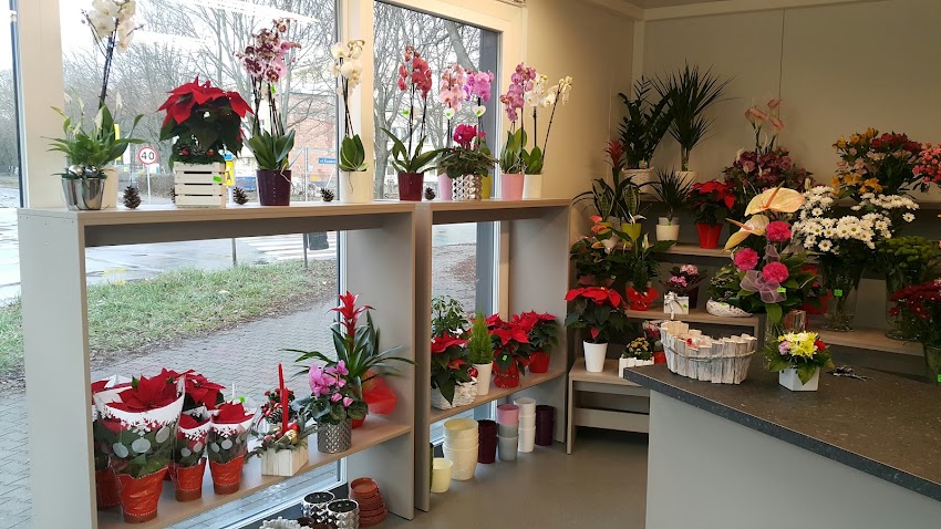 Kwiaciarnia Floranna ul. Z. Herberta /róg ul. K. Dunikowskiego