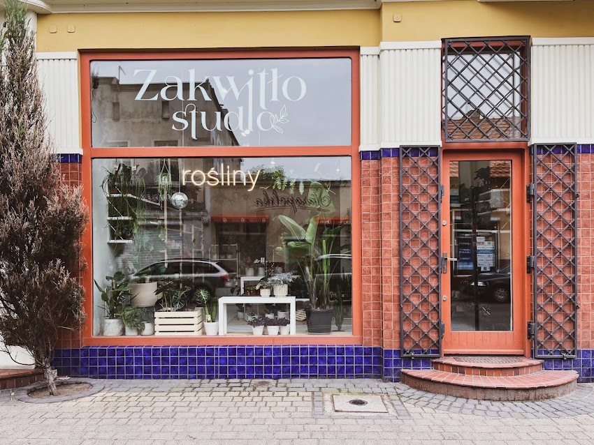 Zakwitło studio