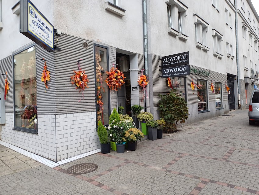 Goździk. Kwiaciarnia