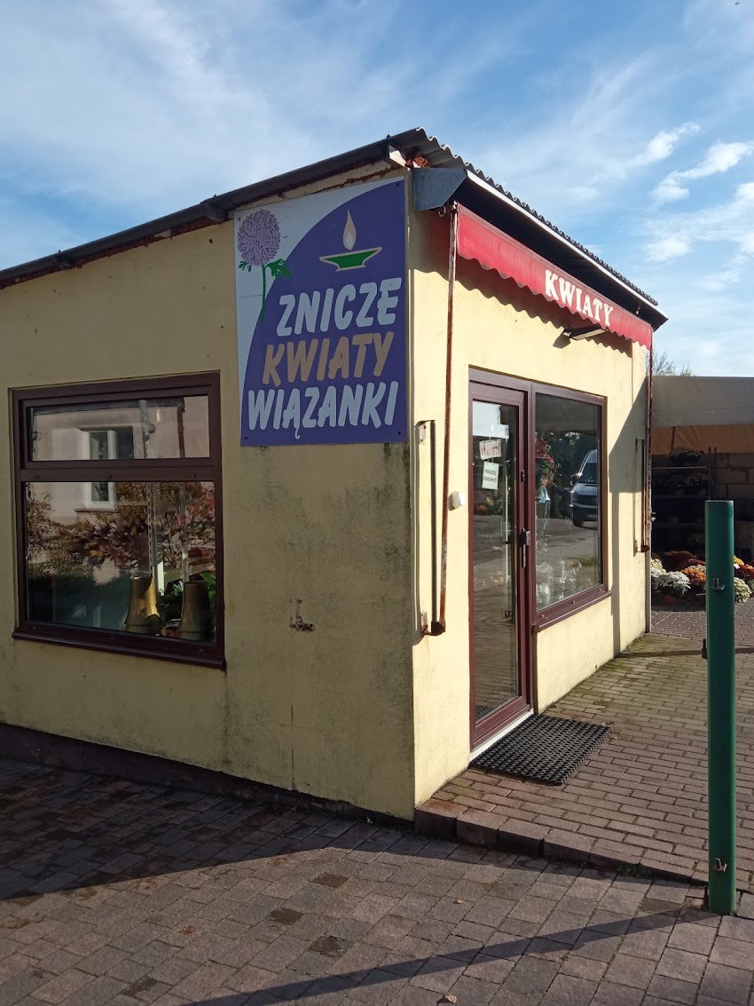 Floks Kazimiera Wyszyńska kwiaty, znicze