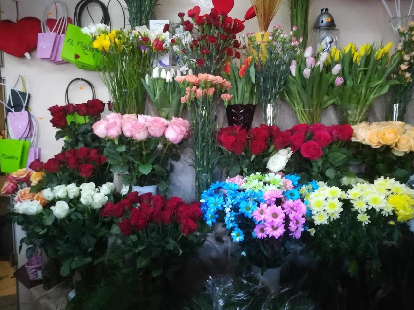 Kwiaciarnia Floris
