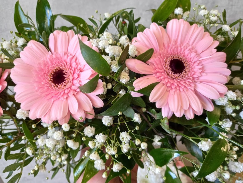 Kwiaciarnia Leo Flowers