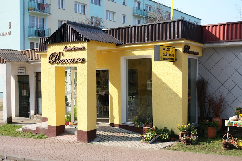 Baccara. Kwiaciarnia