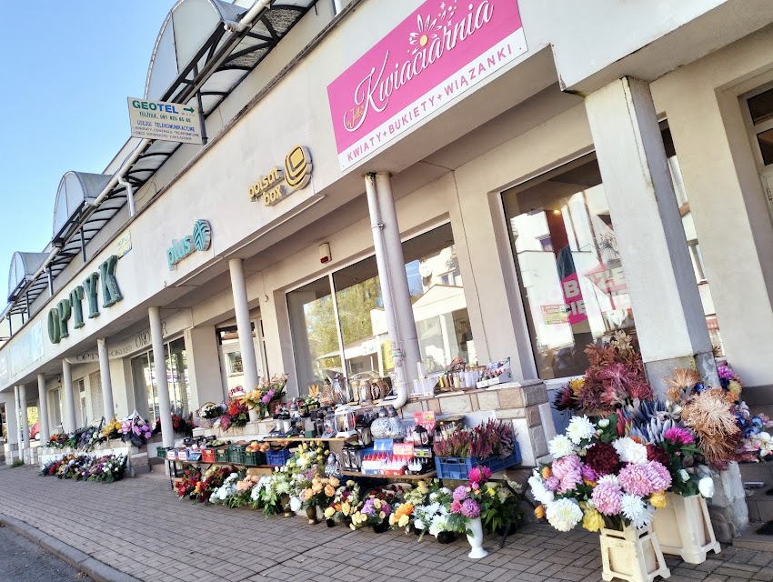 Kwiaciarnia u Jolki Florystyka