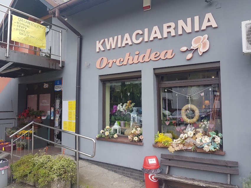 Orchidea