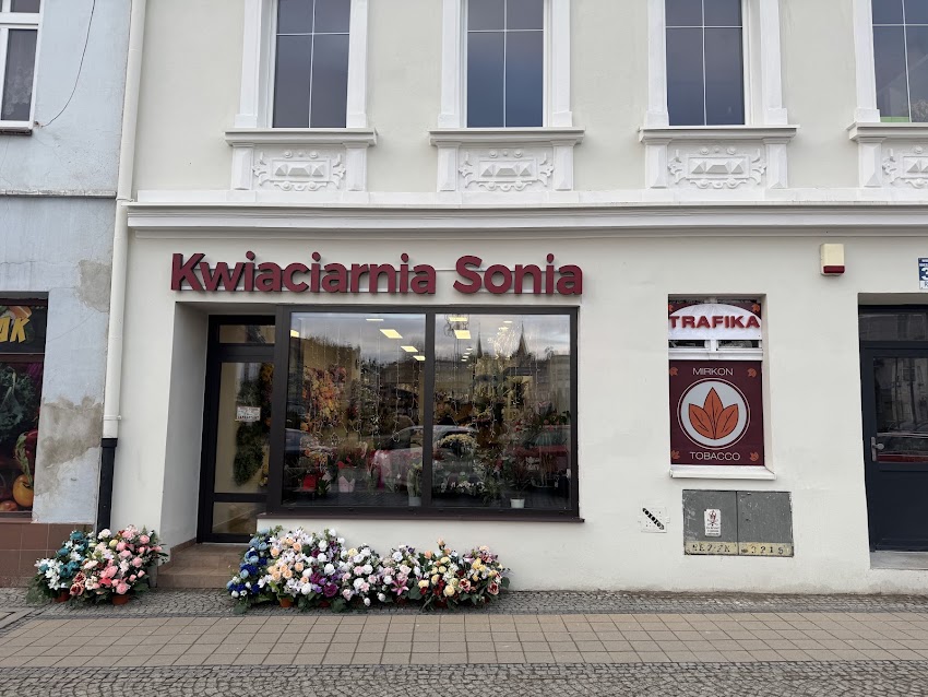 Sonia Kwiaty – „Chróścina”