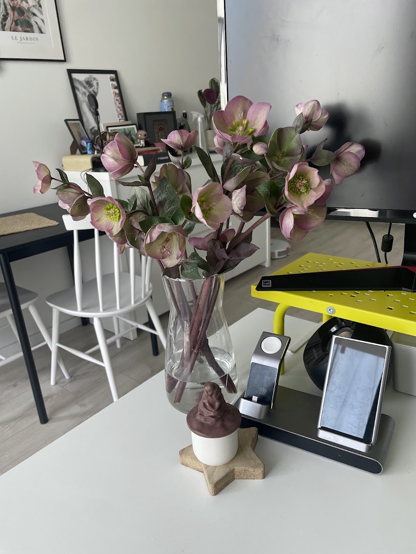 MUZA Flower Studio