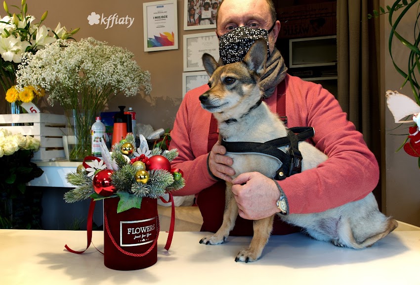 kffiaty