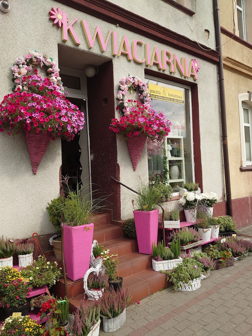 Stokrotka. Kwiaciarnia. Basińska M.