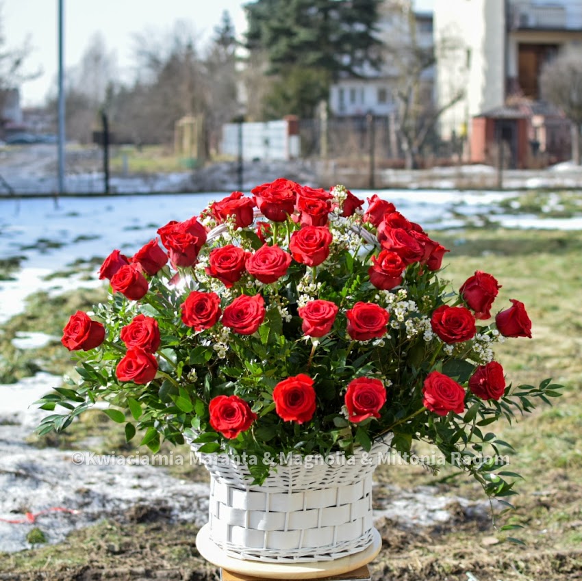 Kwiaciarnia MILTONIA Radom – Kwiaty z dostawą