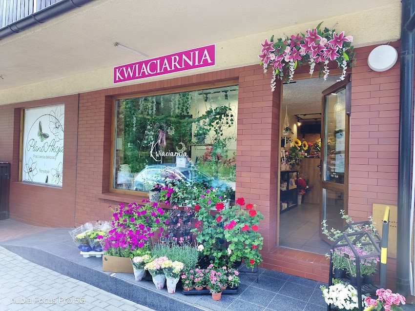 PlantAkcja Ewa Andrzejewska