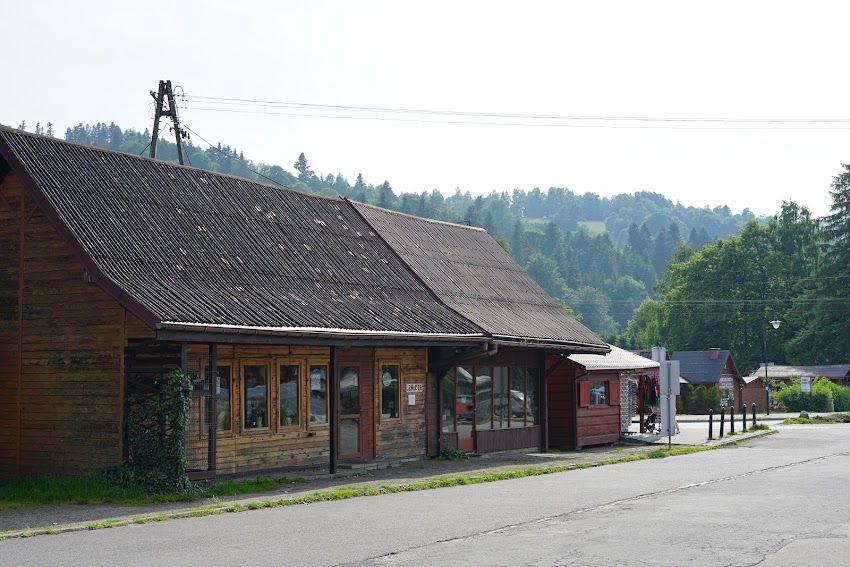 Margaretka. Kwiaciarnia