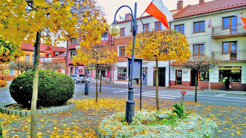 Kalla. Ryndak G.