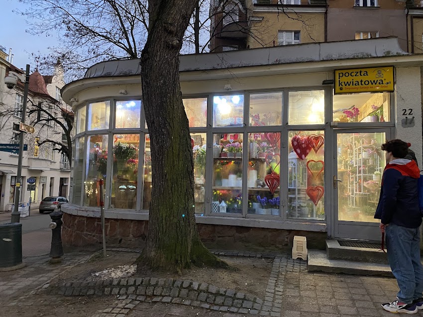 Kwiaciarnia FloraRoom Storczyk