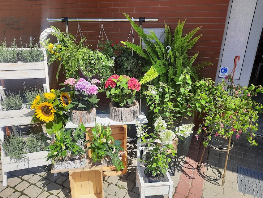 Bloom Studio Florystyczne