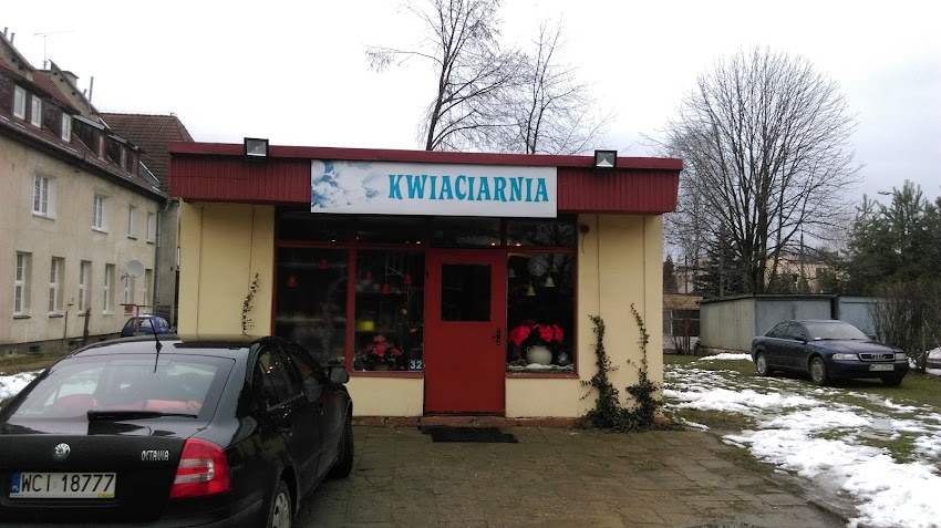 Kwiaciarnia Krokus