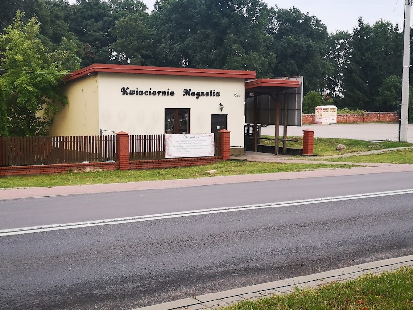 Kwiaciarnia Magnolia