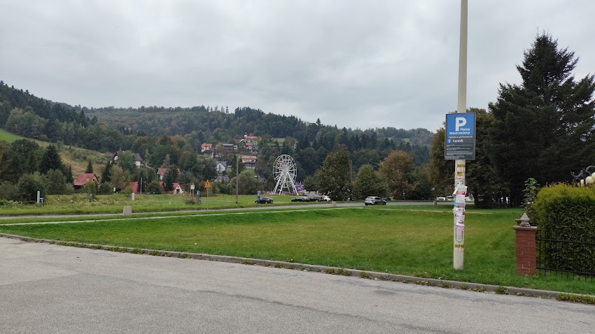 Stokrotka. Kwiaciarnia. Rudzicki A.