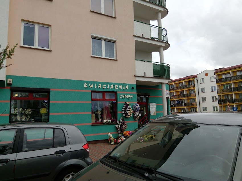 Cyprys Kwiaciarnia