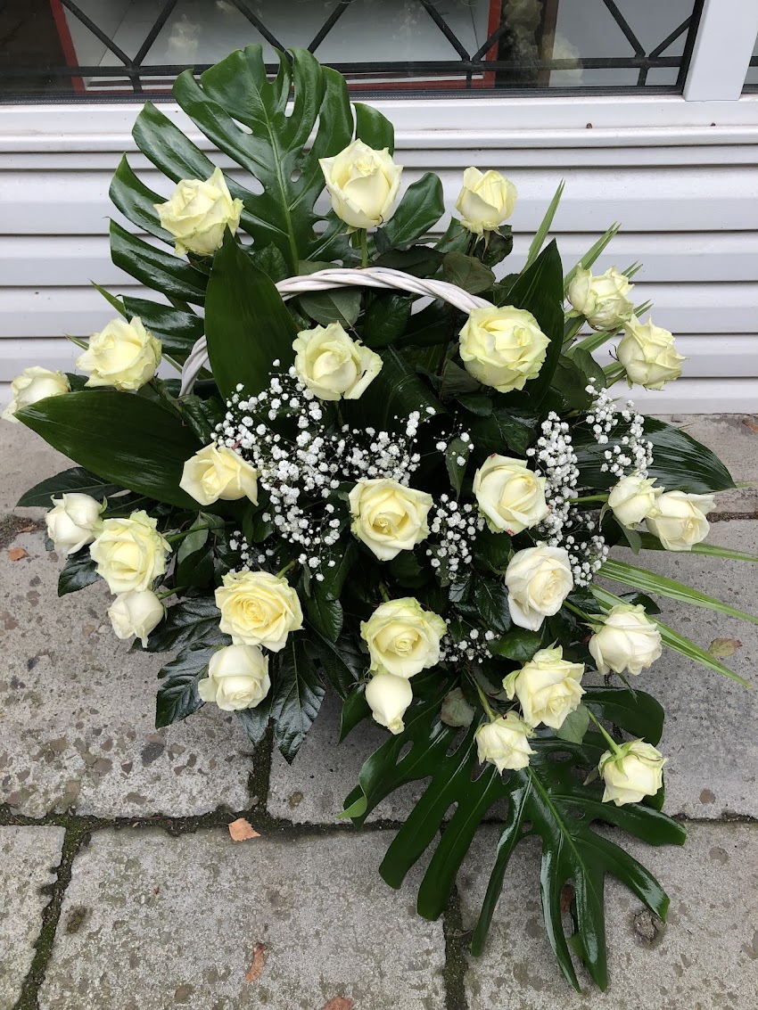 Róża Kwiaciarnia Teresa Szczepańska