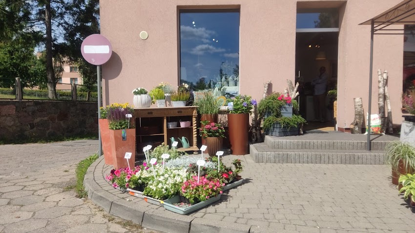 Chmieleńska pracownia florystyczna