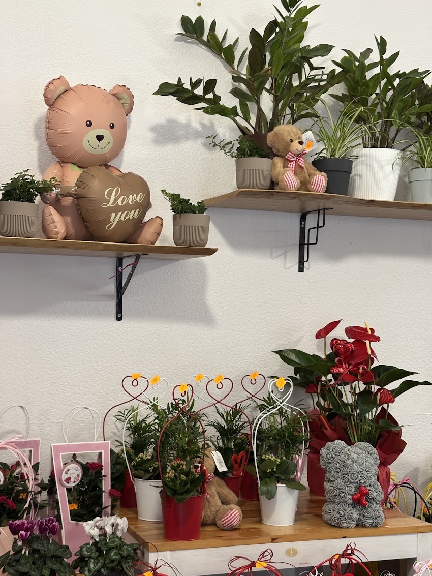 Kwiaciarnia TulipAnki